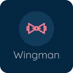 Pocket Wingman icon