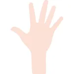 CleanHands icon