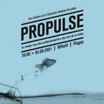 Festival ProPulse icon