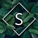 Sugarless - Quit Sugar Habit icon