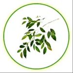 Olive Time Attendance System icon