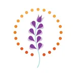 Lavender Lighting icon