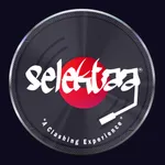 Selektaa icon