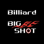 ビリヤード BIG SHOT icon