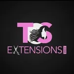 TSEXTENSIONS icon