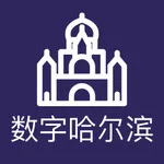 数字哈尔滨 icon