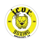 Icor Boxing icon