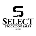 Select Stock Dog Sales icon