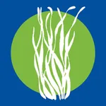 Seagrass PH icon