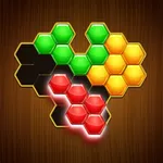 Brain Teasers: Color Hexa game icon