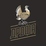 Drofa Beer icon