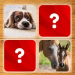 Brain Game - World Animals icon