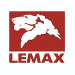 LEMAX Smart boiler icon