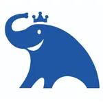 金大象物流 icon