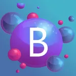 Bubbles Cleaning Service App icon