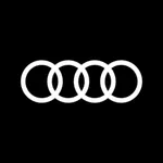 Audi eTwin Cup icon