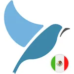 Bluebird: Mexican Spanish icon