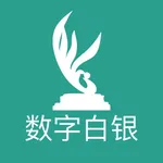 数字白银 icon