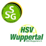 SSG Wuppertal icon