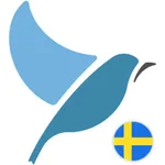 Bluebird: Learn Swedish icon