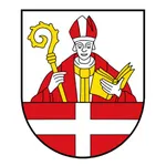 Dorfverein Freiheit Affeln icon