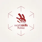 WorldSkills ФНЧ 2021 icon