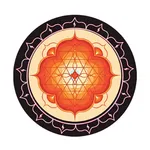 Samadhi Yoga Sangha icon