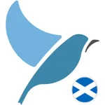 Bluebird: Learn Scots Gaelic icon