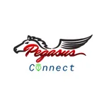 Pegasus Connect icon