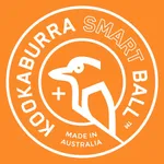 Kookaburra Beep Cricket Ball icon