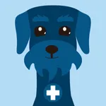 BenngiHealth icon