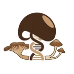 Mushroom Observer icon