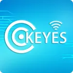 keyes link icon