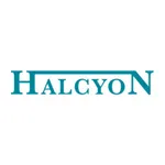 Halcyon Auctions icon