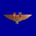 SAS Museum icon