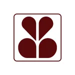 TheBradyBank icon