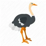 OSTRICH-OfflineDataCollection icon
