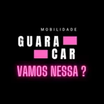 Guara Car Passageiro icon