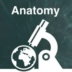 Anatomy Final icon