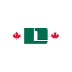 Dick's Lumber icon