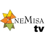 NemisaTV icon