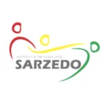 Sarzedo PREV icon