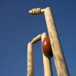 CricScore -Cricket Scoring App icon