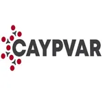 Caypvar icon