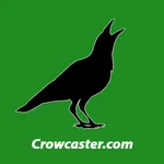 Crowcaster icon