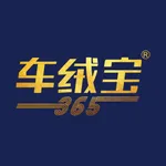 车绒宝 icon