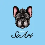 Salon SoAri icon