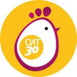 Диета Магги от СИТ 30 icon