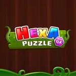 Hexa Puzzle DX icon