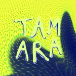 TamAra TheatreGame icon